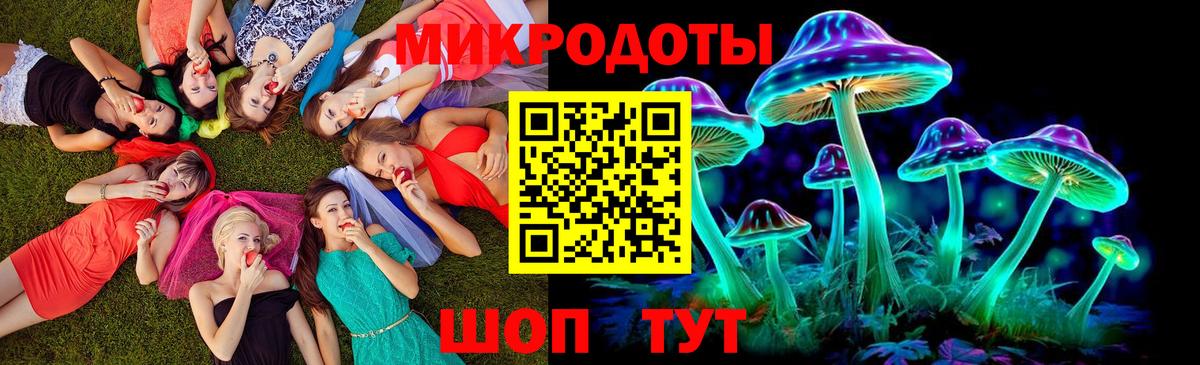 Галлюциногенные грибы GOLDEN TEACHER  Вход с VPN  Богданович 